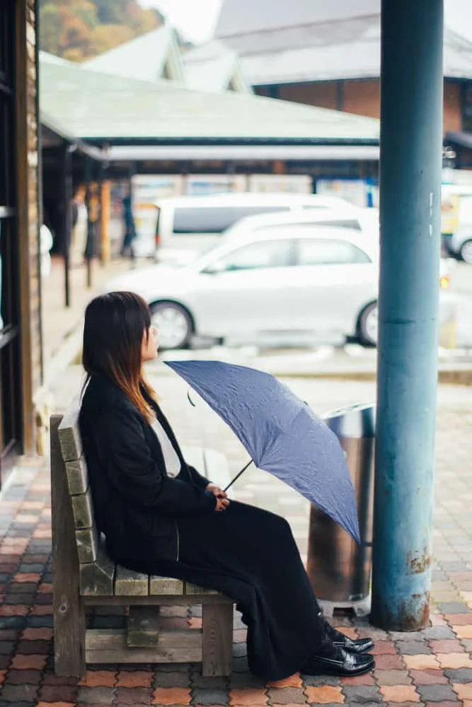 SONY α7RⅡ + Planar 50mm/1.4 ZF.2