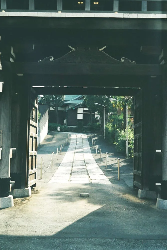 Leica M3 / 