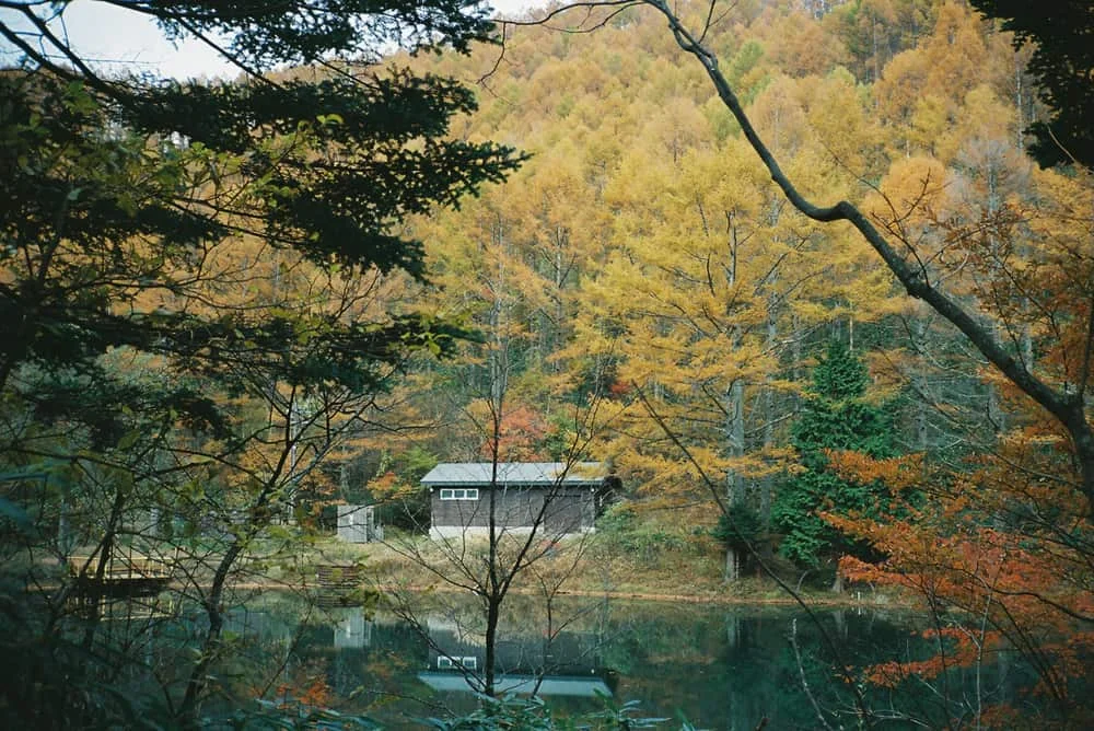 CONTAX T2 / ヘブンスそのはら