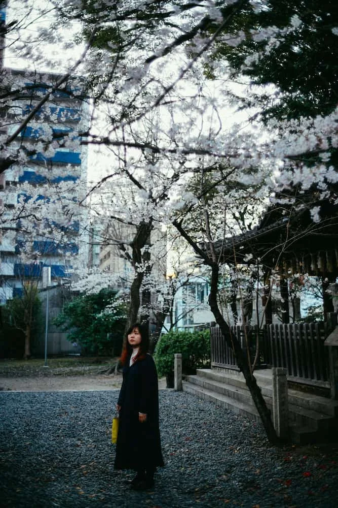 SONY α7Rii / Voigtlander NOKTON 35mm f1.4