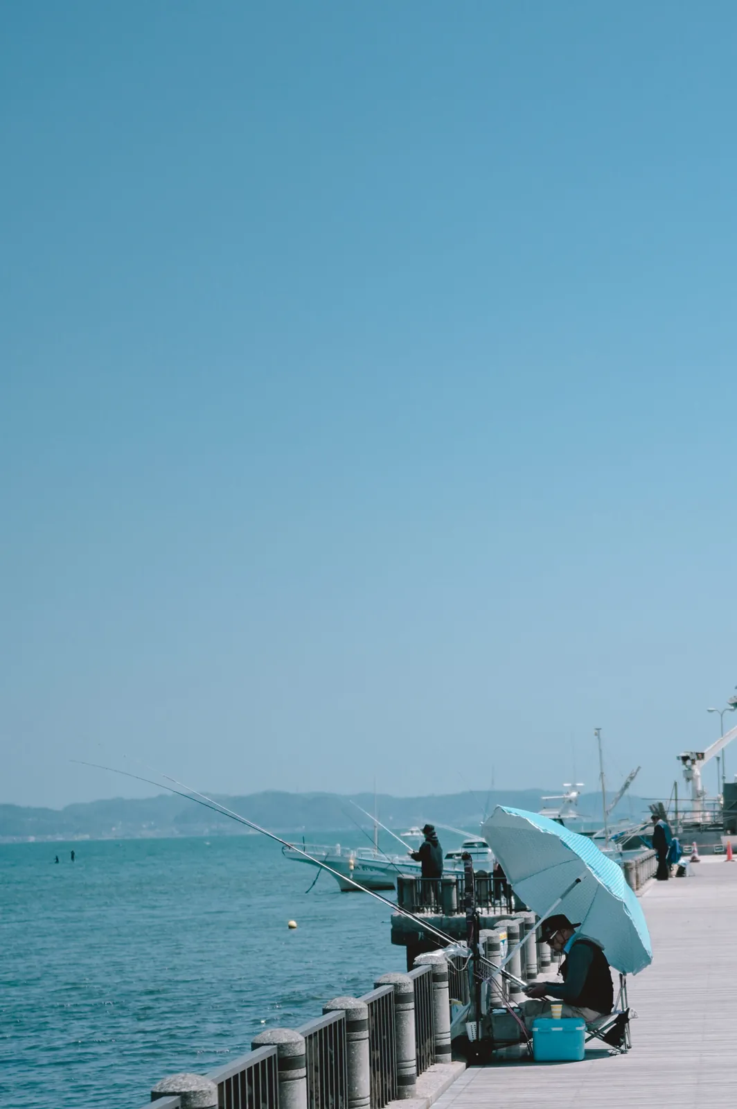 ぶらり江ノ島【Nikon Z6,SIGMA 45mm F2.8 Contemporary】
