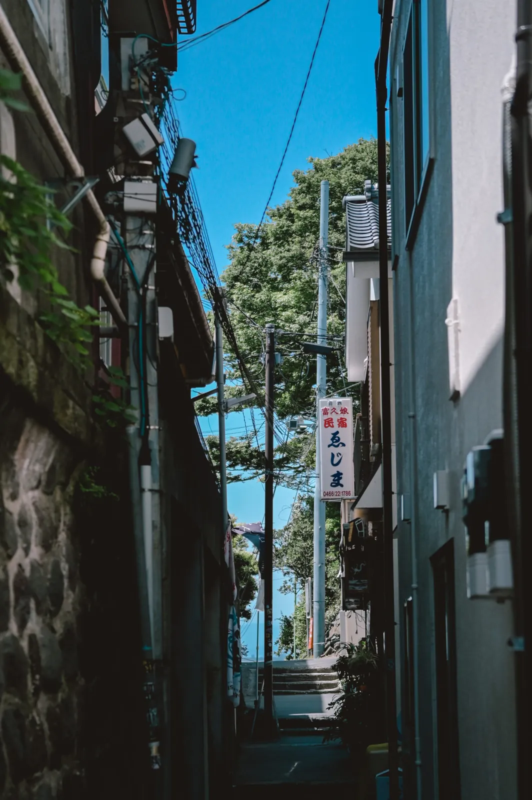 ぶらり江ノ島【Nikon Z6,SIGMA 45mm F2.8 Contemporary】