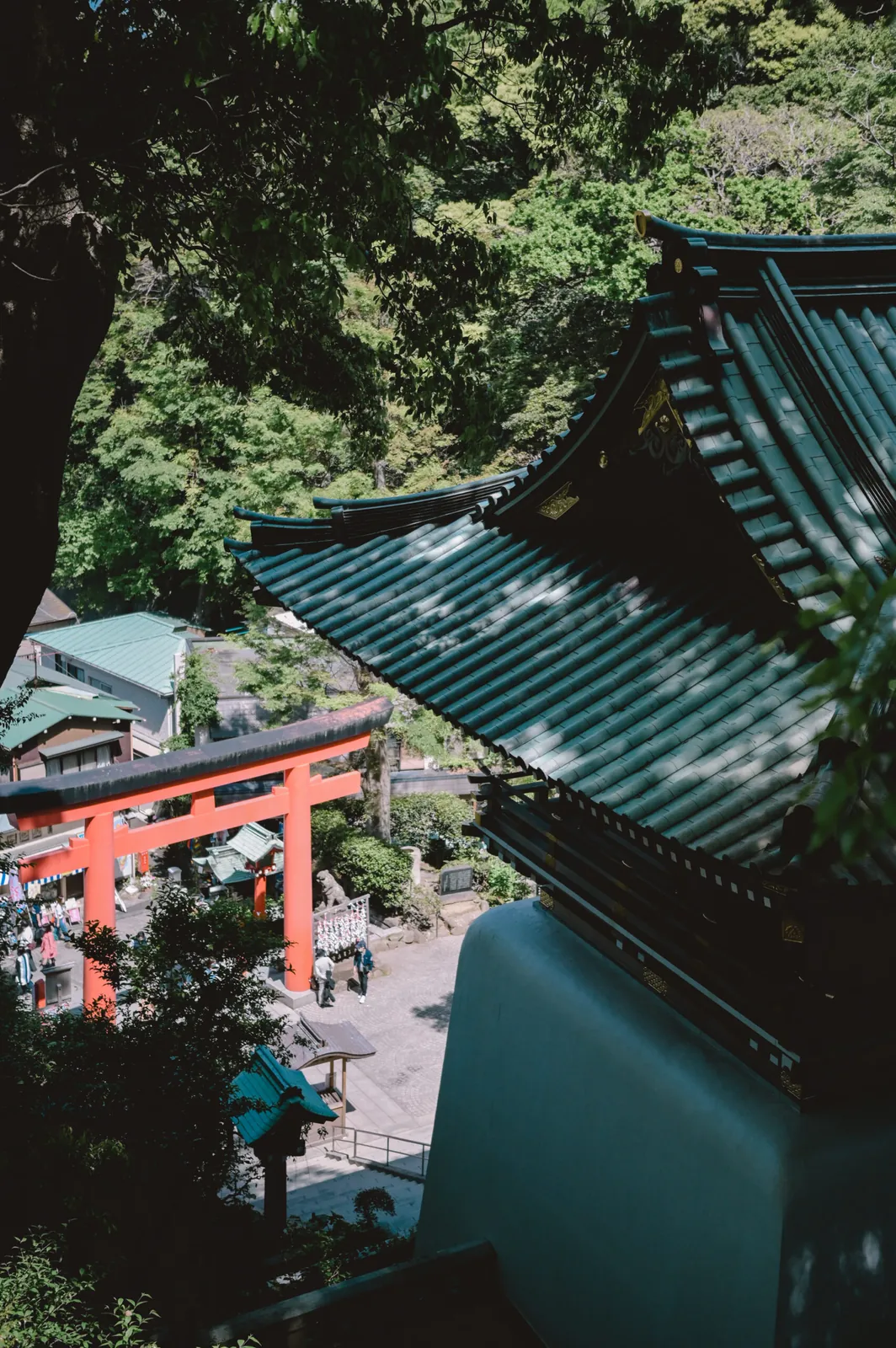 ぶらり江ノ島【Nikon Z6,SIGMA 45mm F2.8 Contemporary】