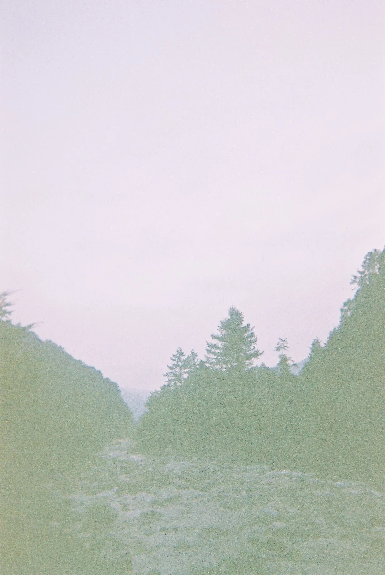 キャンプと写ルンです